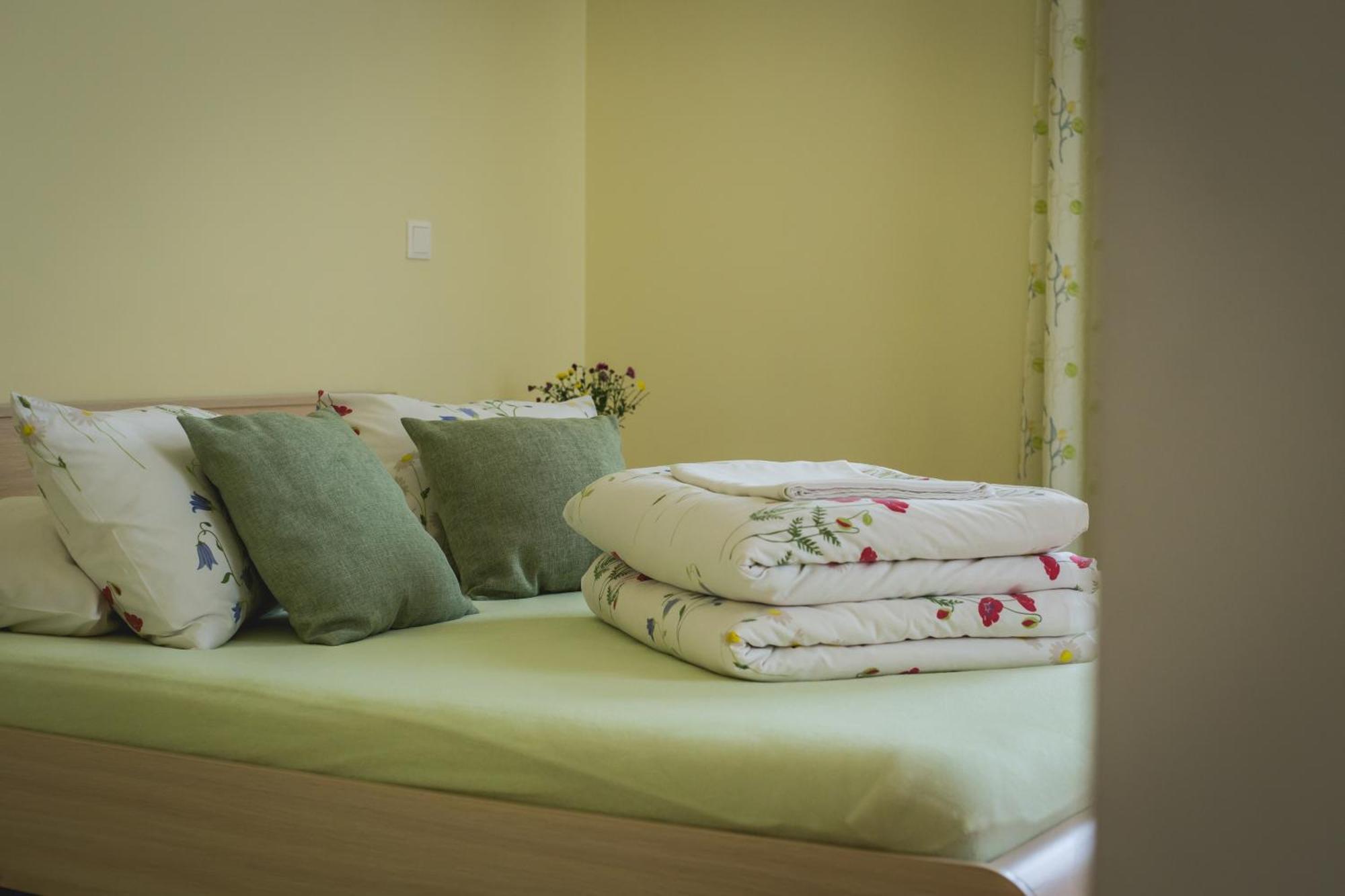 Hotel Viesu Maja Janis à Madona Extérieur photo