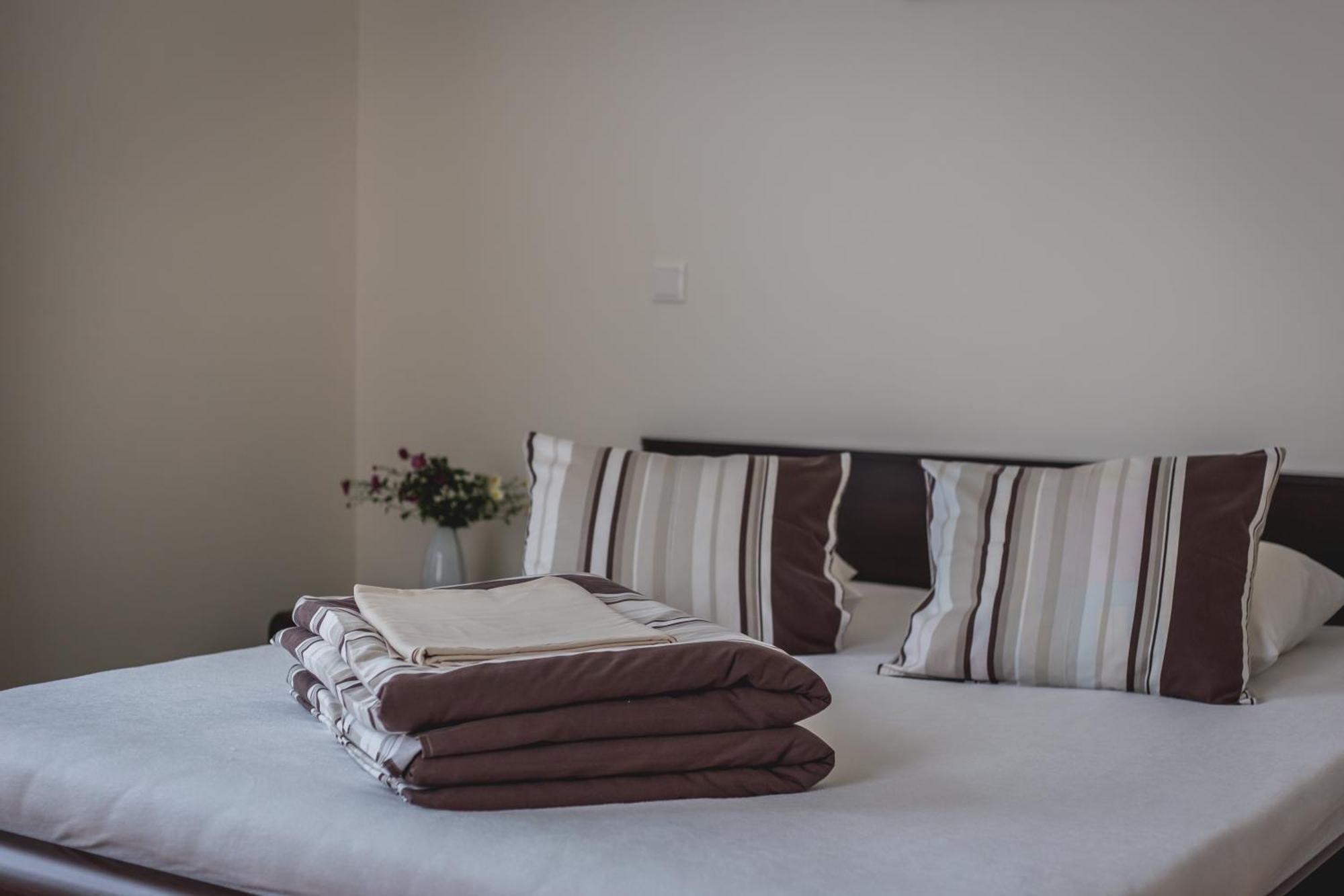 Hotel Viesu Maja Janis à Madona Extérieur photo